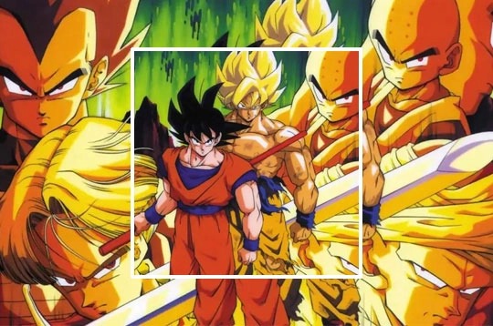 Dragon Ball Fierce Fighting